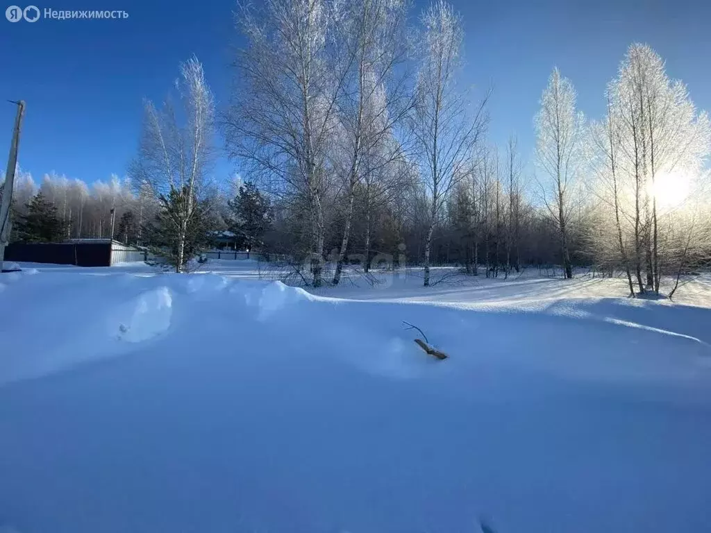 Участок в Кочкуровский район, село Новая Пырма (10 м) - Фото 2