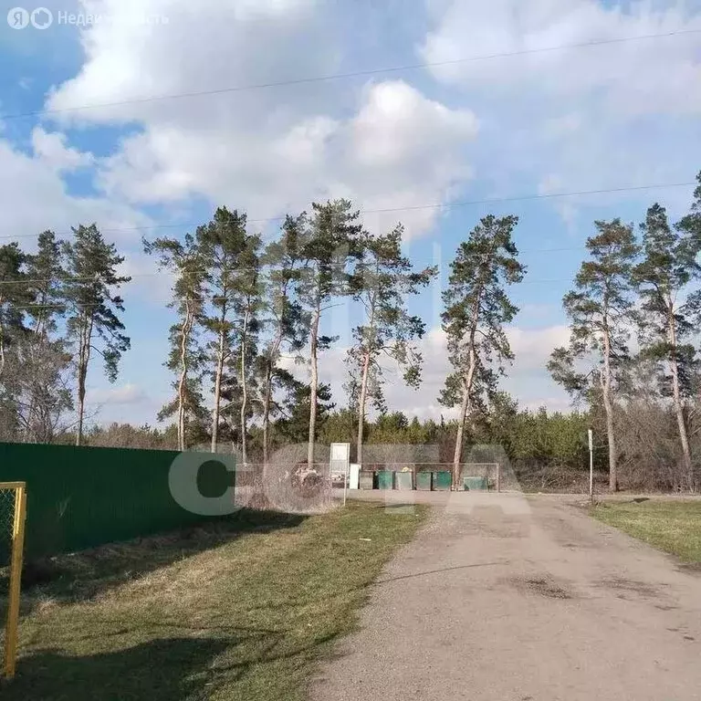 Дом в Воронеж, СНТ Сосна (46 м) - Фото 2