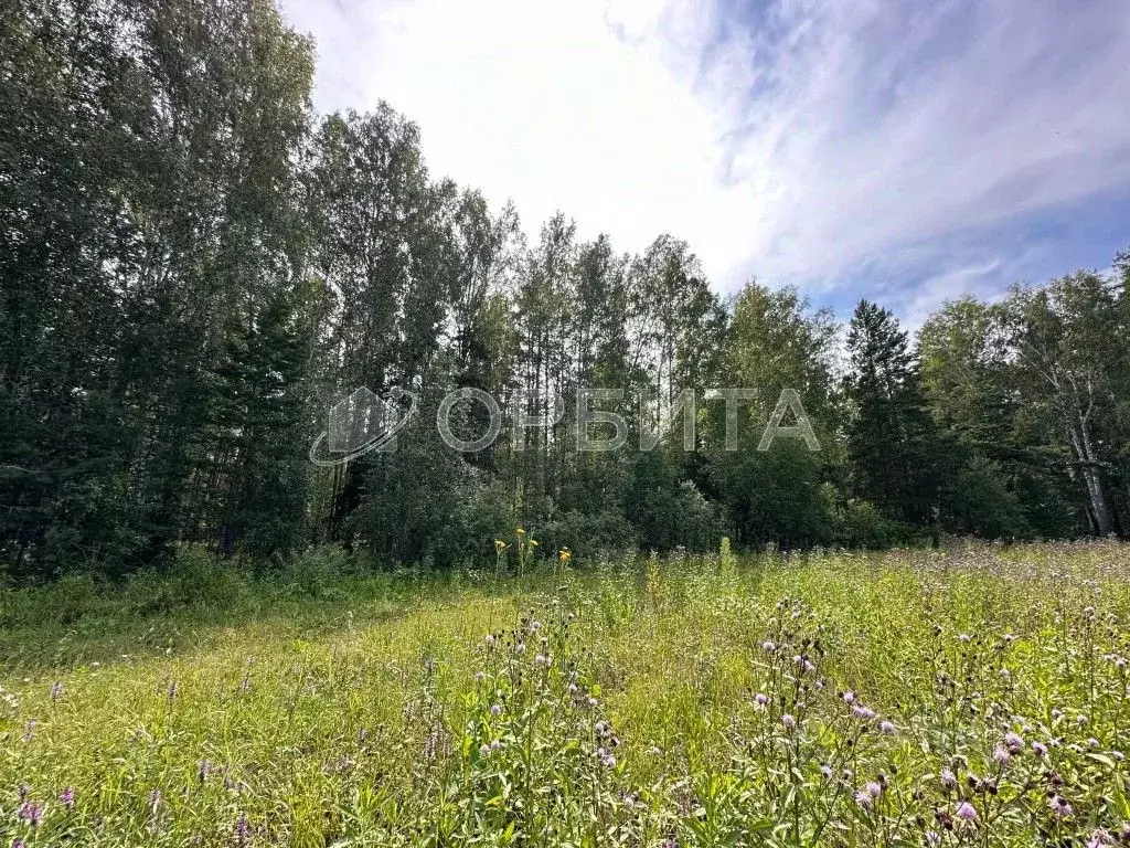 Участок в Тюменская область, Тюменский район, с. Кулига  (6.0 сот.) - Фото 0