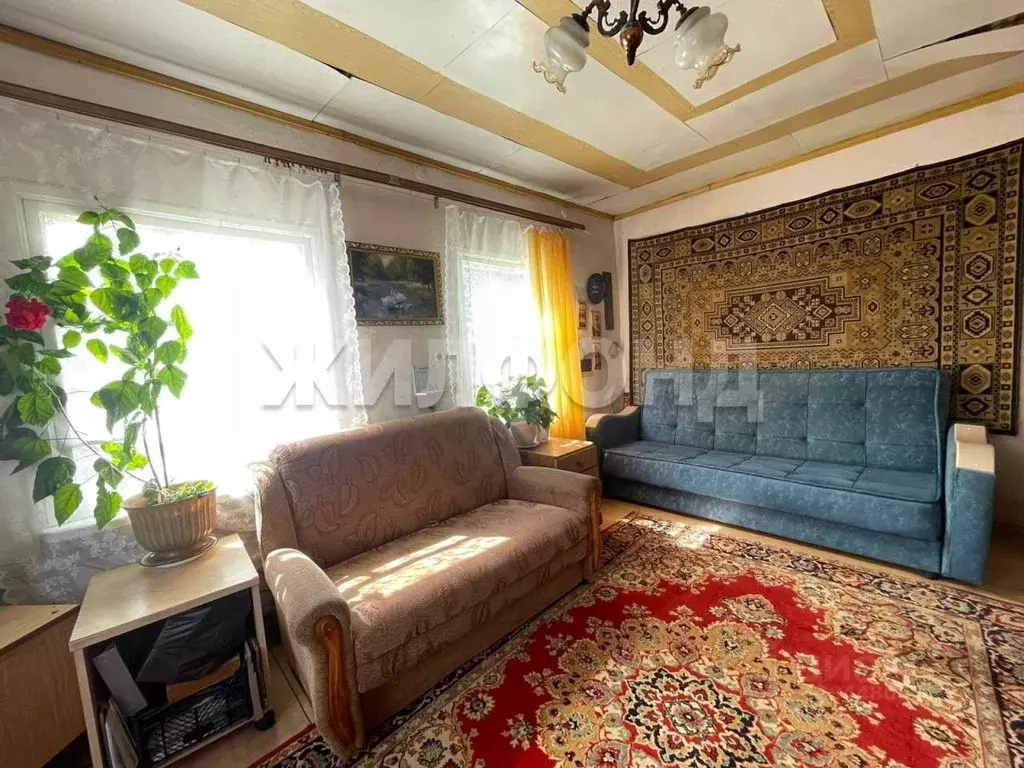 Дом в Новосибирская область, Новосибирский район, с. Раздольное ... - Фото 1