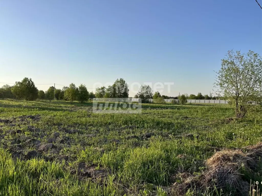 Участок в Владимирская область, Александровский муниципальный округ, ... - Фото 2