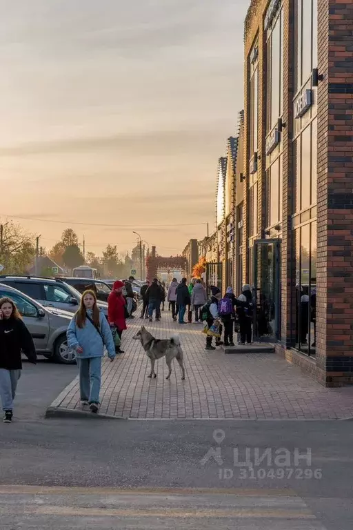 Торговая площадь в Пермский край, Оса ул. Степана Разина, 59Б (108 м) - Фото 0