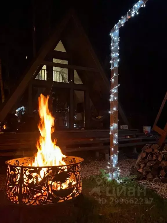 Дом в Московская область, Домодедово городской округ, д. Степыгино, ... - Фото 2