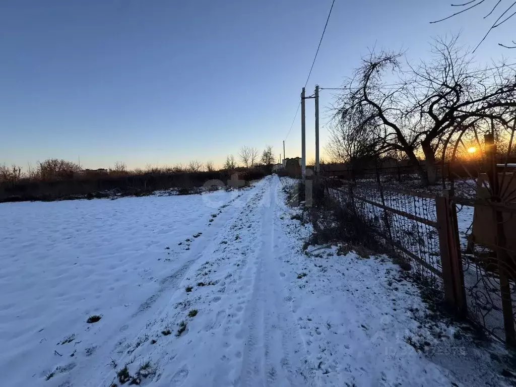 Участок в Брянская область, Брянский район, Снежское с/пос, пос. ... - Фото 2