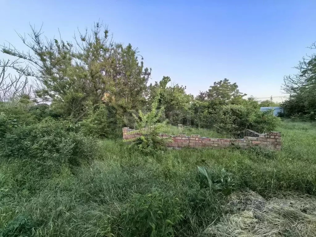 Участок в Краснодарский край, Ейск Южное СНТ,  (5.0 сот.) - Фото 2