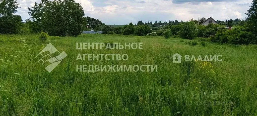 Участок в Рязанская область, Рязанский муниципальный округ, д. ... - Фото 1