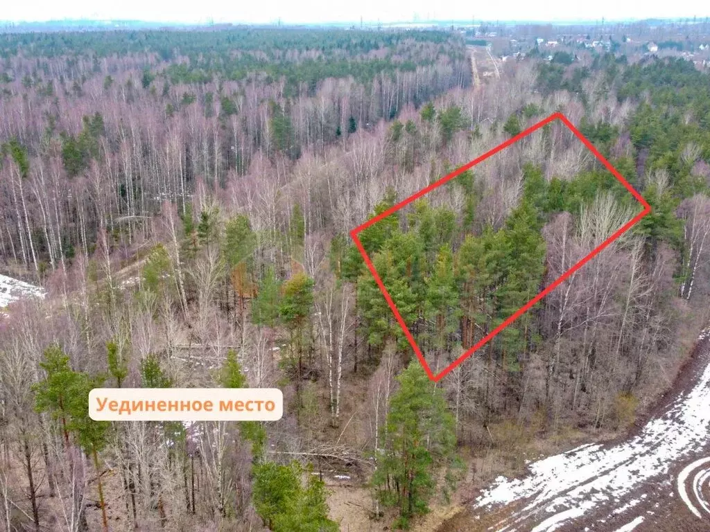 Участок в Всеволожский район, Бугровское городское поселение, деревня ... - Фото 1