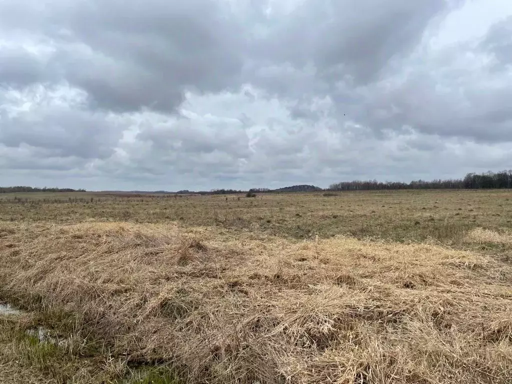 Участок в Калининградская область, Зеленоградский муниципальный округ, ... - Фото 2