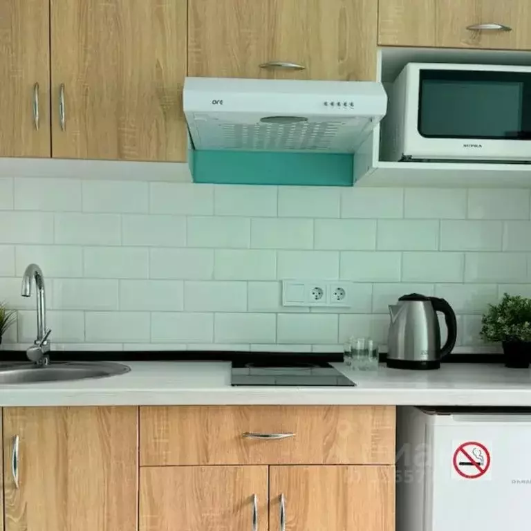 Студия Московская область, Одинцово ул. Сколковская, 3А (18.0 м) - Фото 2