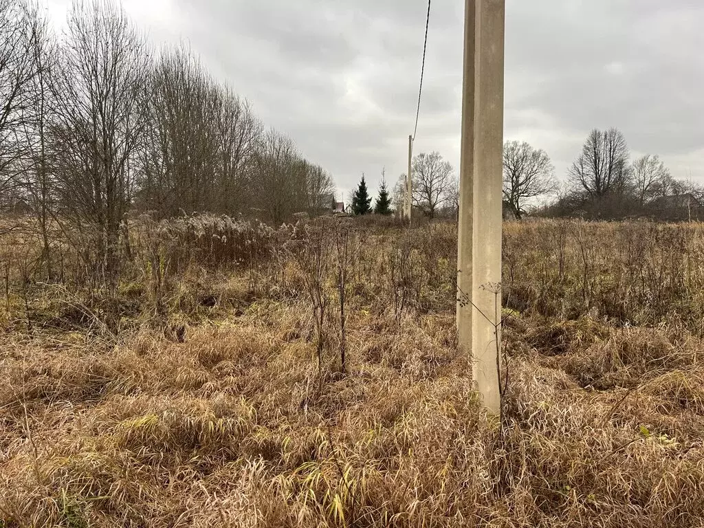 Участок в Владимирская область, Александровский муниципальный округ, ... - Фото 2