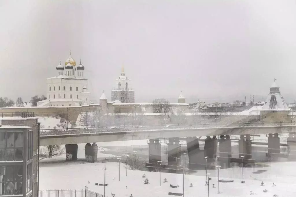 1-к кв. Псковская область, Псков Ольгинская наб., 5А (38.0 м) - Фото 1