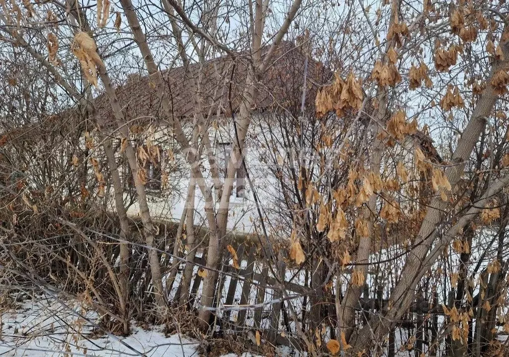 Дом в Челябинская область, Челябинск пос. Шершни, Парковая ул., 1 (32 ... - Фото 0