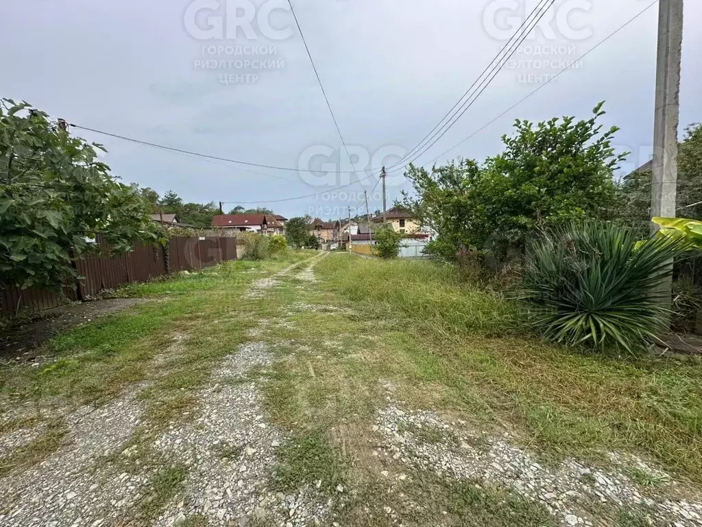 Участок в Краснодарский край, Сочи пос. Вардане, ул. Оливковая (6.0 ... - Фото 2