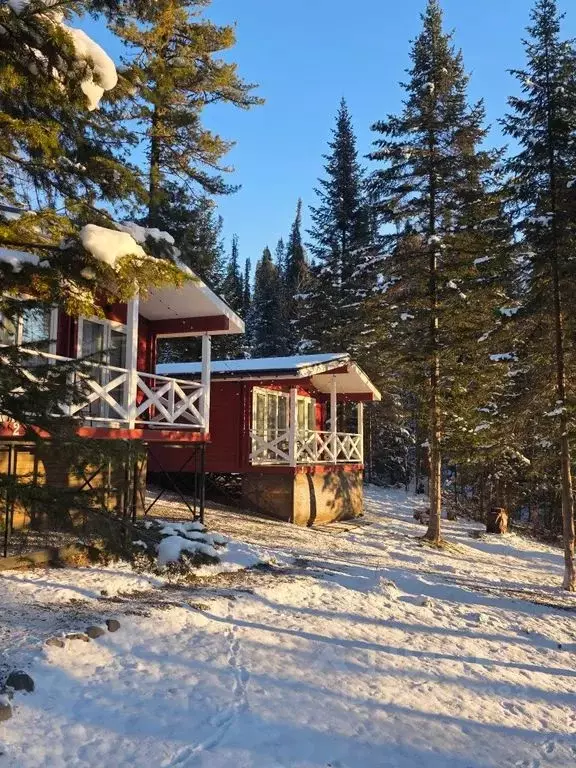 Дом в Алтай, Турочакский район, с. Артыбаш  (30 м) - Фото 1