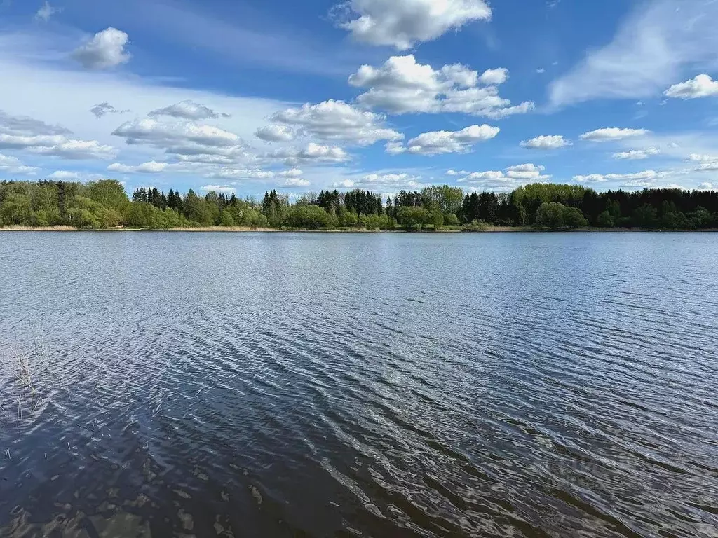 Участок в Московская область, Солнечногорск городской округ, д. ... - Фото 2
