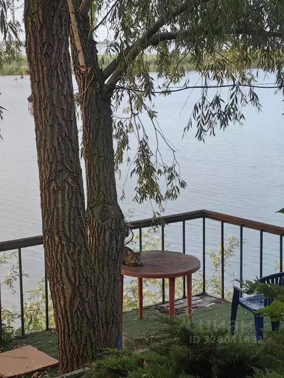 Дом в Саратовская область, Саратов Монтажник СНТ,  (170 м) - Фото 2