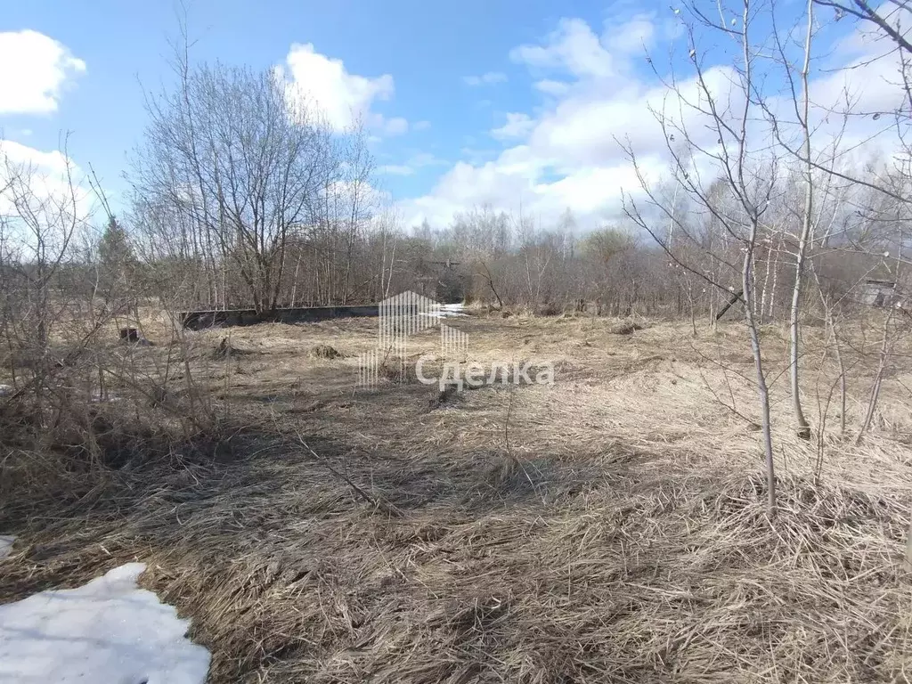 Участок в Московская область, Коломна городской округ, пос. Станции ... - Фото 2