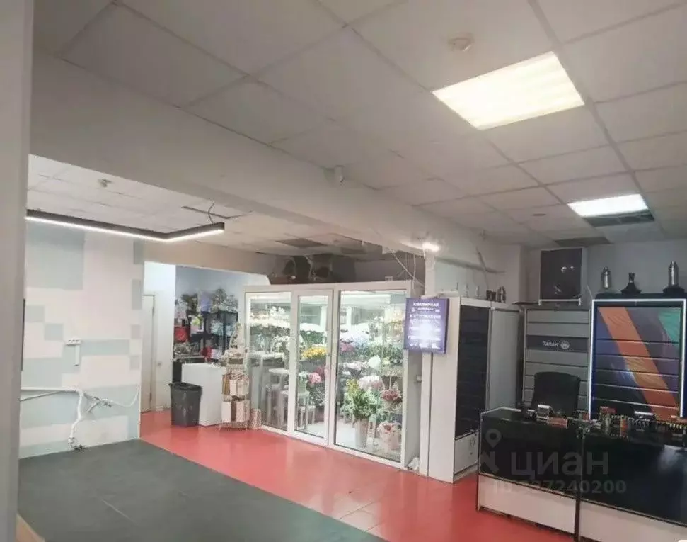 Помещение свободного назначения в Москва ул. Маршала Бирюзова, 10К1 ... - Фото 1