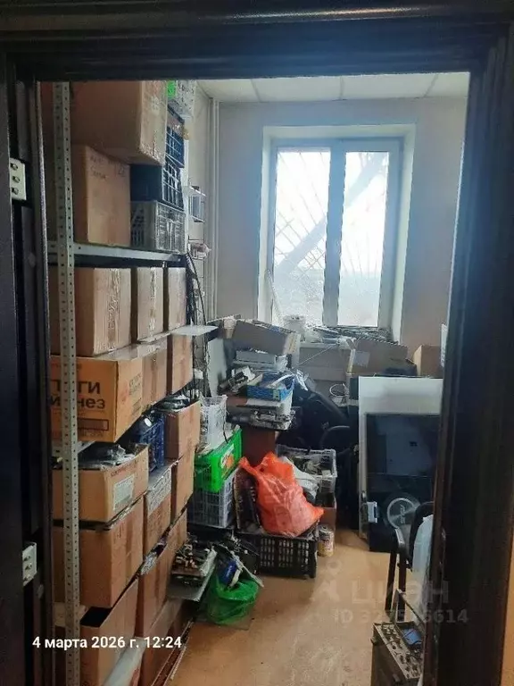 Помещение свободного назначения в Приморский край, Владивосток ... - Фото 2