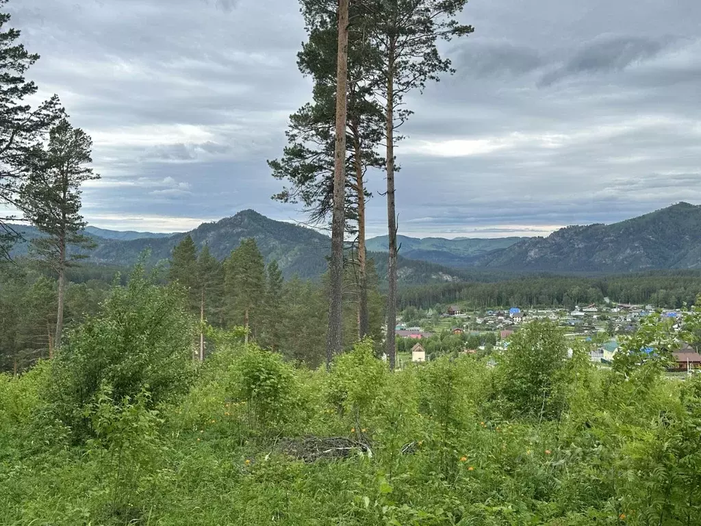 участок в алтай, майминский район, с. озерное ул. лесная (10.0 сот.) - Фото 1