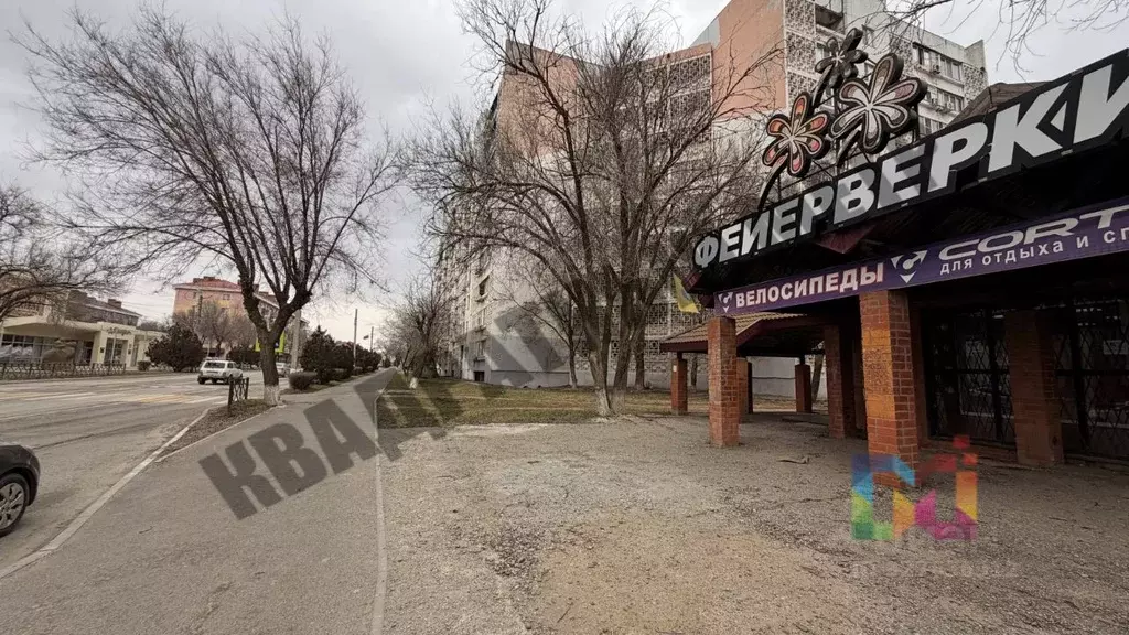 Торговая площадь в Калмыкия, Элиста 1-й мкр, 46 (81 м) - Фото 2