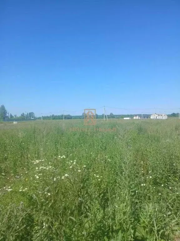 Участок в Новосибирская область, Новосибирский район, с. Кубовая ул. ... - Фото 1