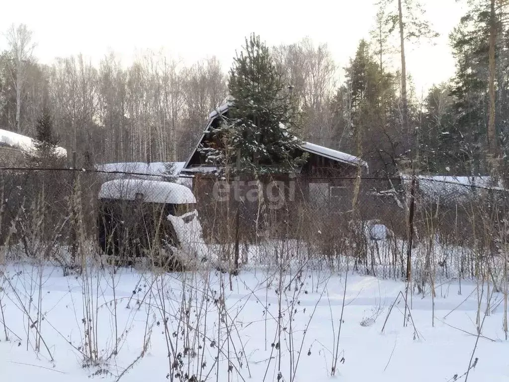 Дом в Свердловская область, Екатеринбург Луч-5 СНТ, 392 (50 м) - Фото 0