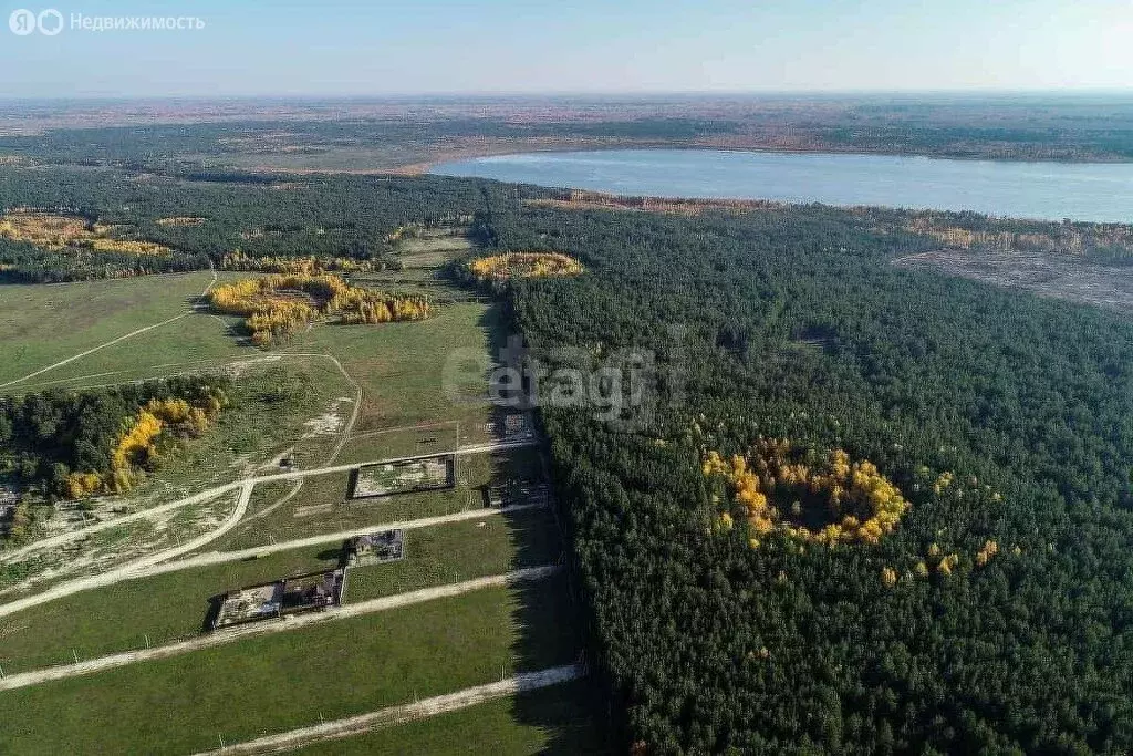 Участок в Тюменский муниципальный округ, деревня Криводанова, Дорожная ... - Фото 2