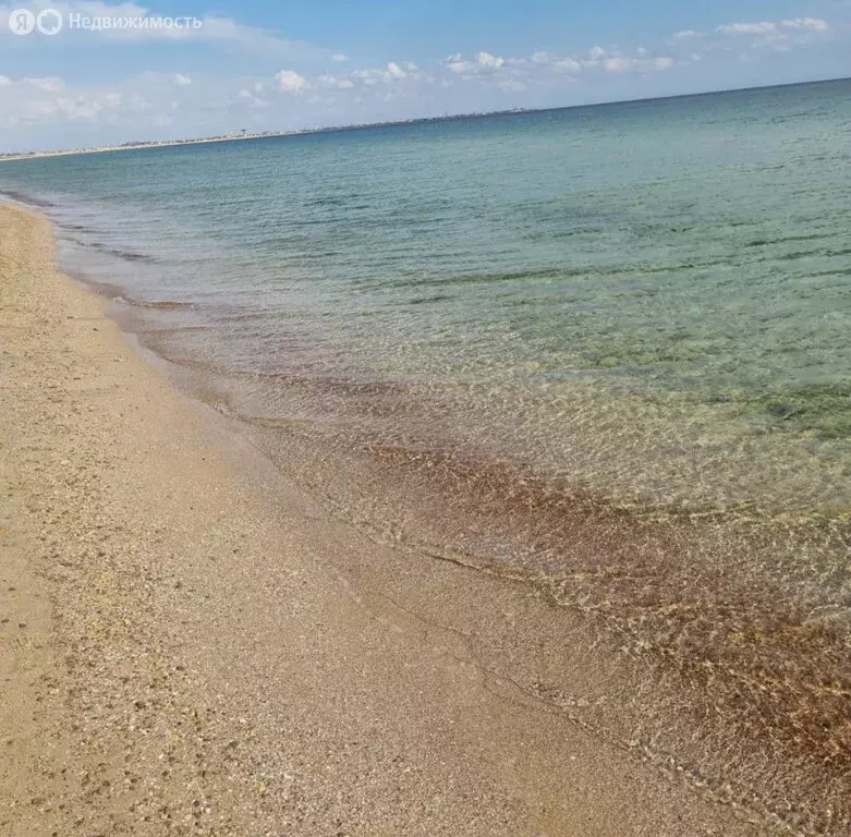 Участок в Сакский район, Молочненское сельское поселение, село Витино ... - Фото 2