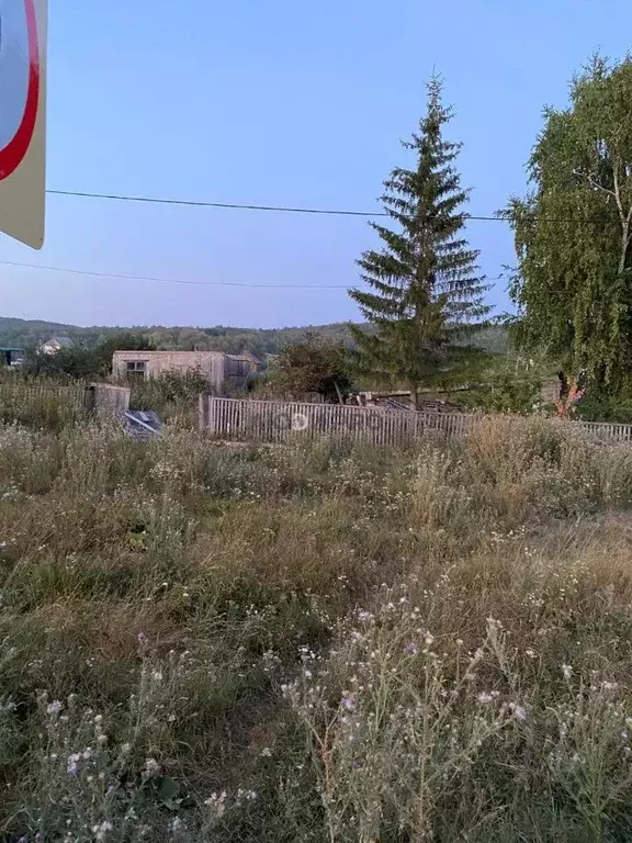 Участок в Башкортостан, Кармаскалинский район, с. Подлубово Школьная ... - Фото 2