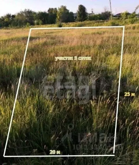 Участок в Ульяновская область, Ульяновск городской округ, пос. ... - Фото 1