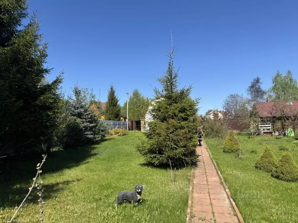 Участок в Москва пос. Совхоза Крекшино, ул. Тополиная, 5А (16.0 сот.) - Фото 1