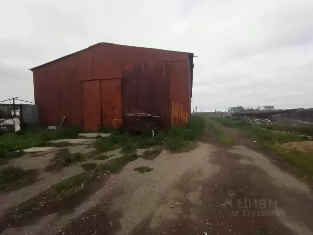 Склад в Курганская область, Макушинский муниципальный округ, с. ... - Фото 1