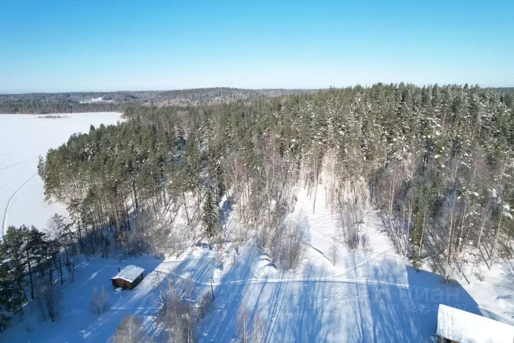 Участок в Карелия, Лахденпохский муниципальный округ, пос. Терваярви ... - Фото 2