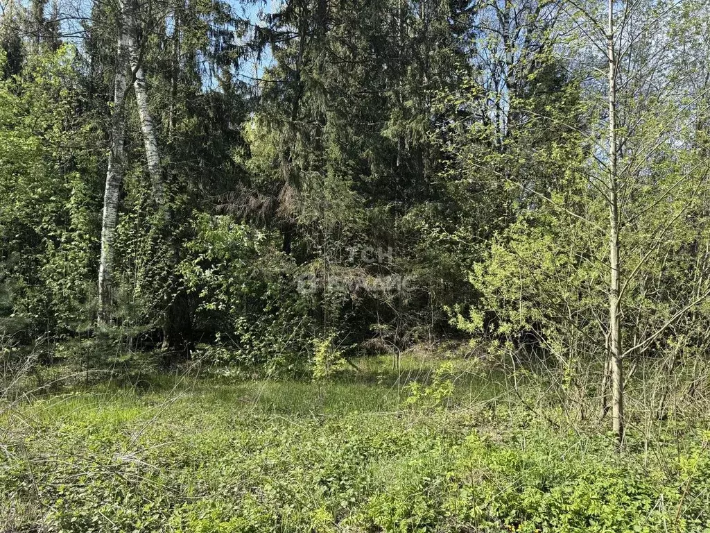 Участок в Московская область, Пушкинский городской округ, Софрино пгт, ... - Фото 1