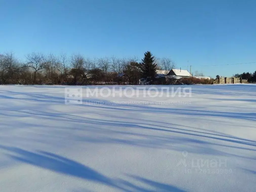 Участок в Амурская область, Серышевский муниципальный округ, с. ... - Фото 1