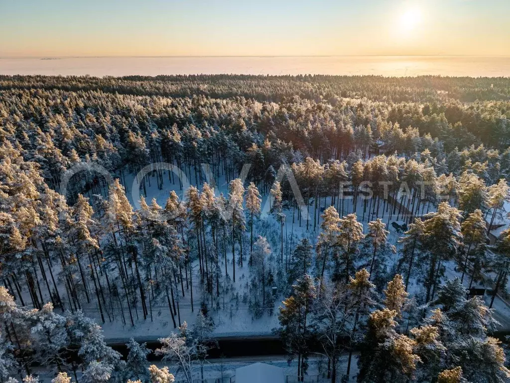 Участок в Санкт-Петербург пос. Комарово, просп. Лесной (50.0 сот.) - Фото 2