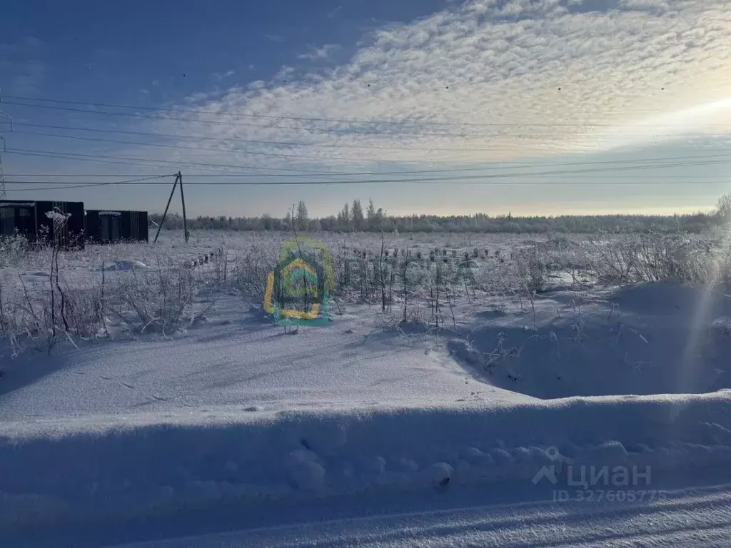 Участок в Ленинградская область, Ломоносовский район, Виллозское ... - Фото 2