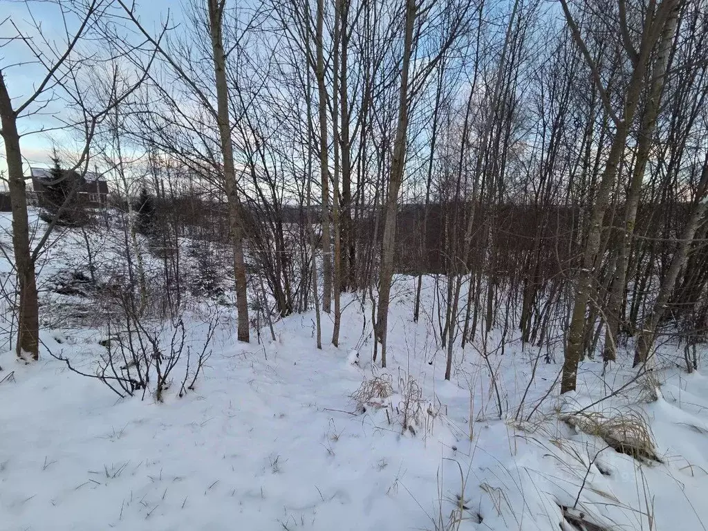 Участок в Московская область, Сергиево-Посадский городской округ, д. ... - Фото 1