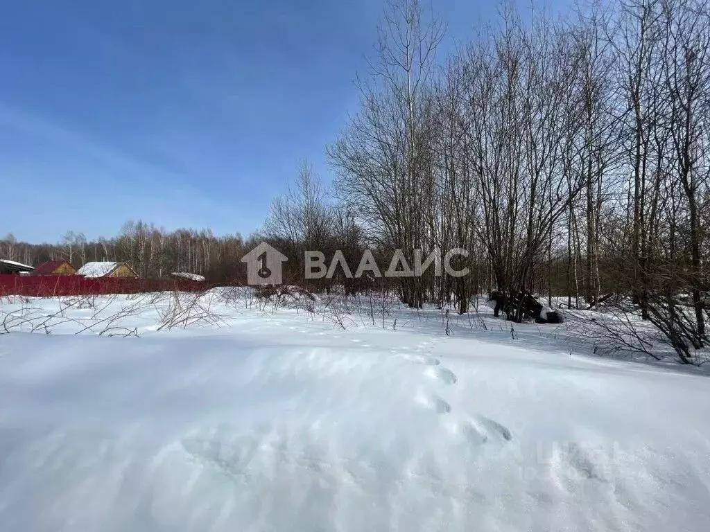 Участок в Владимирская область, Судогодский район, Лавровское ... - Фото 1