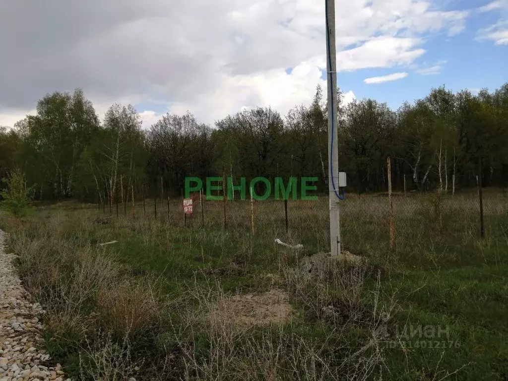 Участок в Саратовская область, пос. Рейник ул. Совхозная (7.09 сот.) - Фото 1