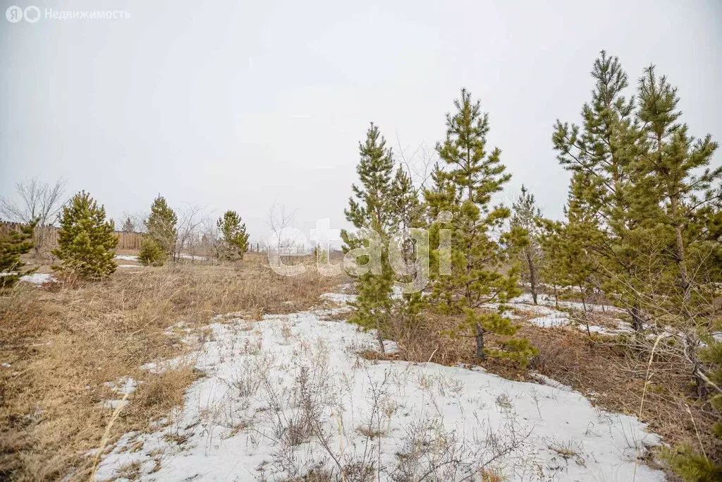 Участок в село Нижний Саянтуй, ДНТ Багульник, 2-й квартал (11.9 м) - Фото 1