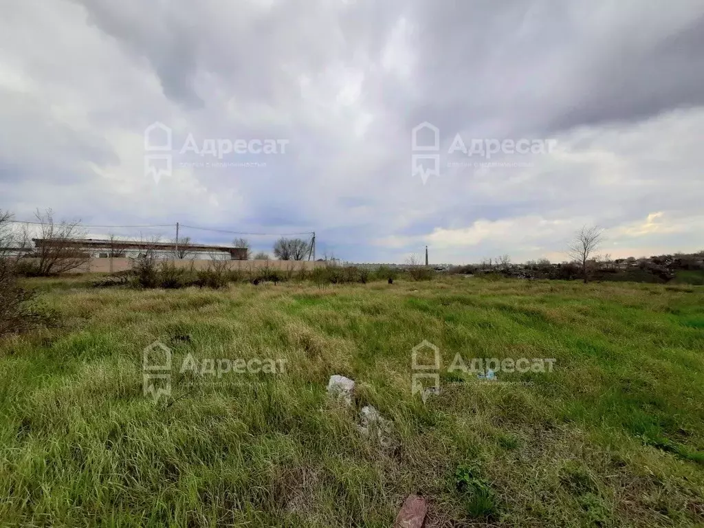Участок в Волгоградская область, Волгоград Дзержинец СНТ, ... - Фото 1