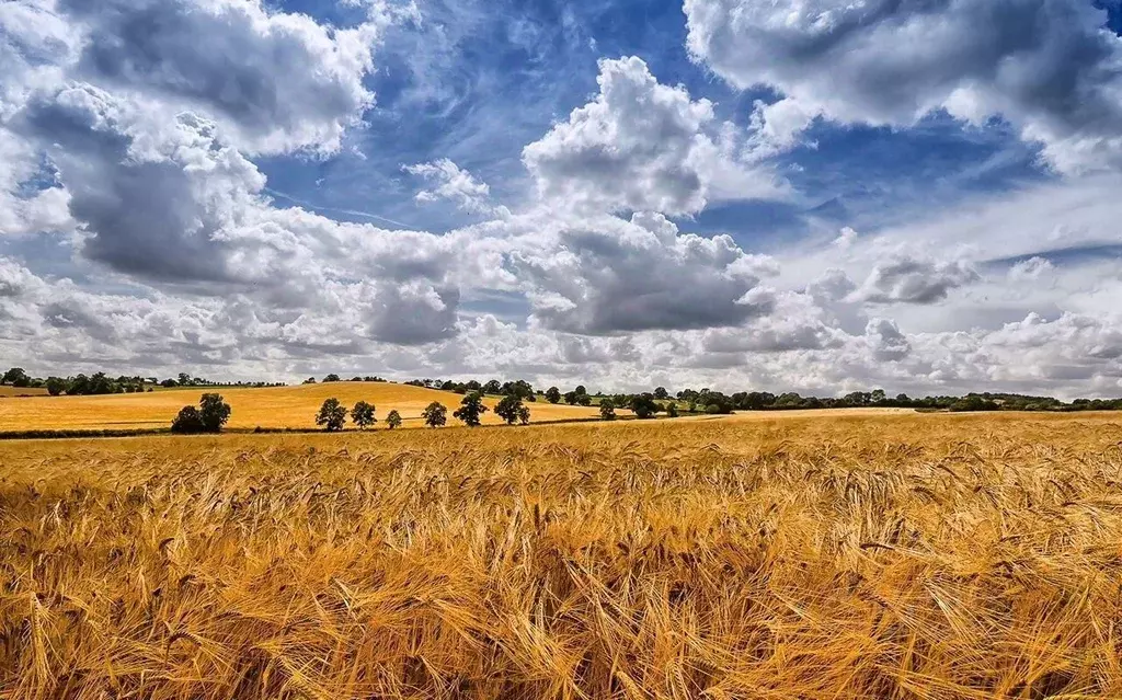 Участок в Краснодарский край, Славянский район, Коржевское с/пос, ... - Фото 0