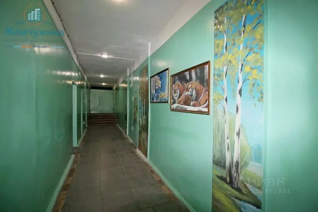 1-к кв. Ульяновская область, Димитровград Московская ул., 68 (18.0 м) - Фото 1