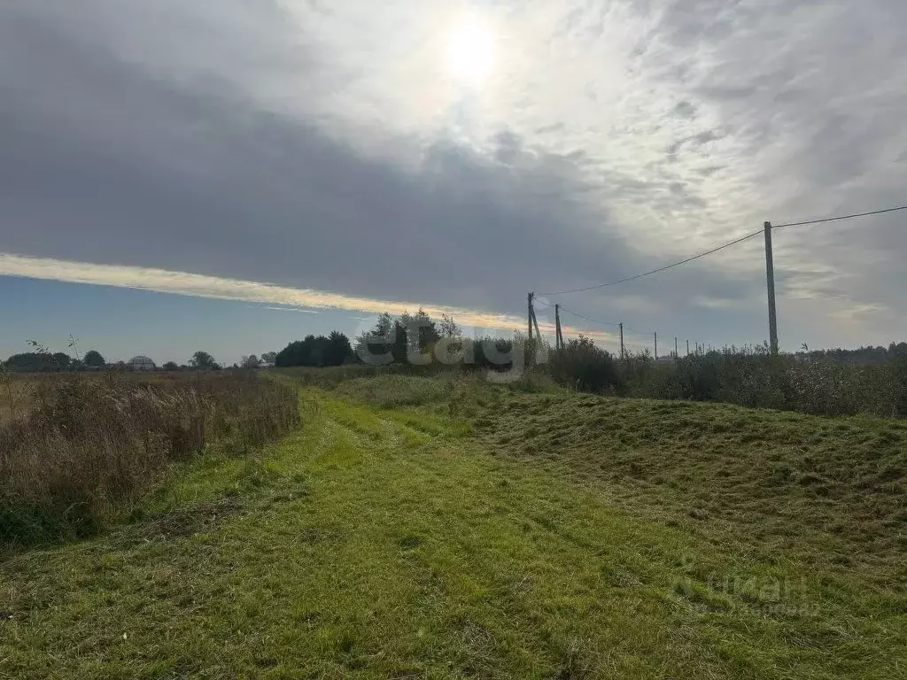 Участок в Калининградская область, Зеленоградский муниципальный округ, ... - Фото 1