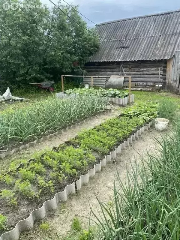 Дом в Тюменская область, село Ярково (70 м) - Фото 1