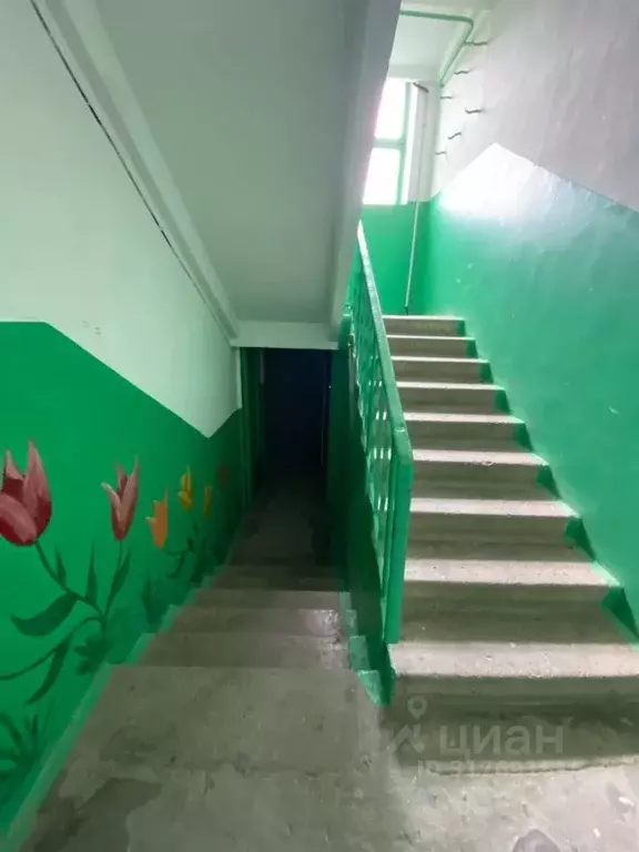 2-к кв. Крым, Евпатория ул. Некрасова, 85 (51.8 м) - Фото 2