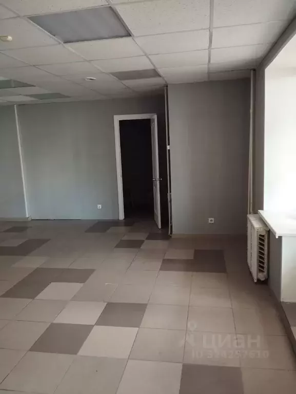 Помещение свободного назначения в Курганская область, Курган ул. Коли ... - Фото 2