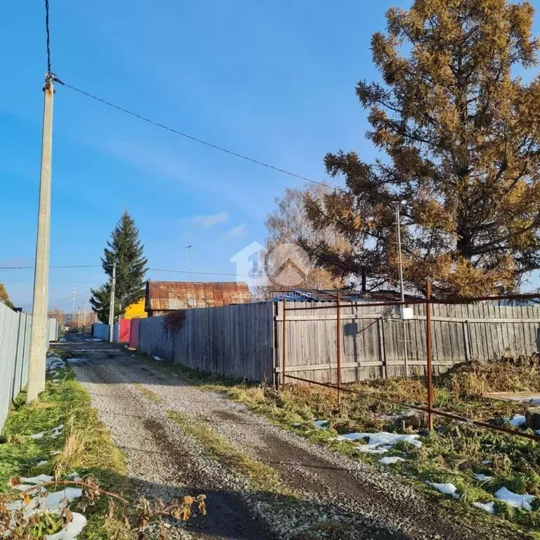 Участок в Новосибирская область, Новосибирск Сибиряк Пашинский СТ, 217 ... - Фото 1